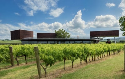 An underground winery in Emilia-Romagna Region (Italy)