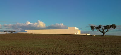 Azienda Vinicola Adega Mayor