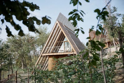A village of wood and glass cabins set among vineyards