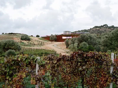 Cantina Tenute Maestrale