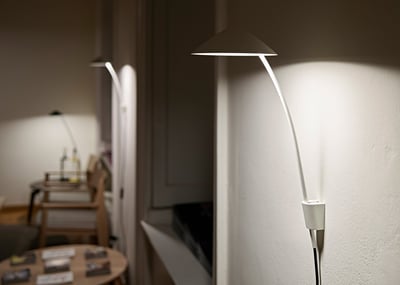 A Light Rooted in Southeast Asia