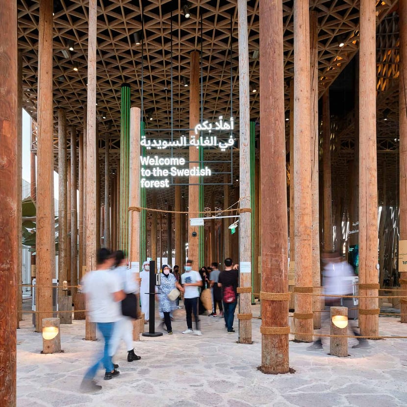 The forest: sweden’s pavilion at expo 2020 Dubai