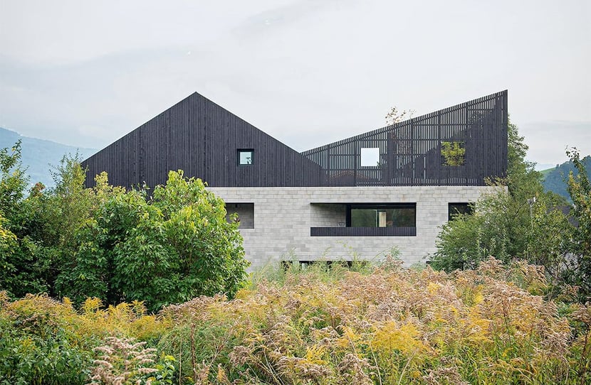 The Pointed Roof House - a home  for two sisters