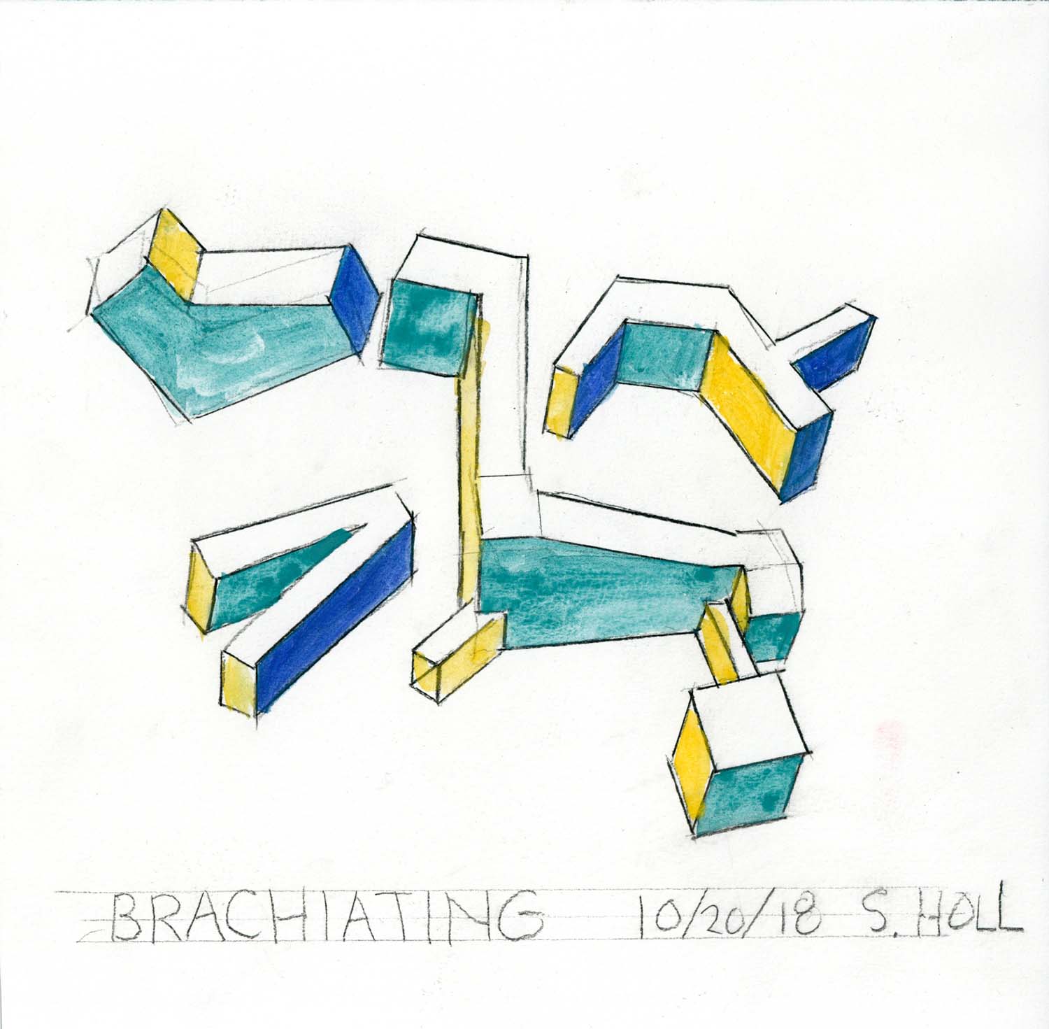 Brachiating Time | Drawings courtesy of Steven Holl Architects